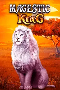 Gioco delle Slot1